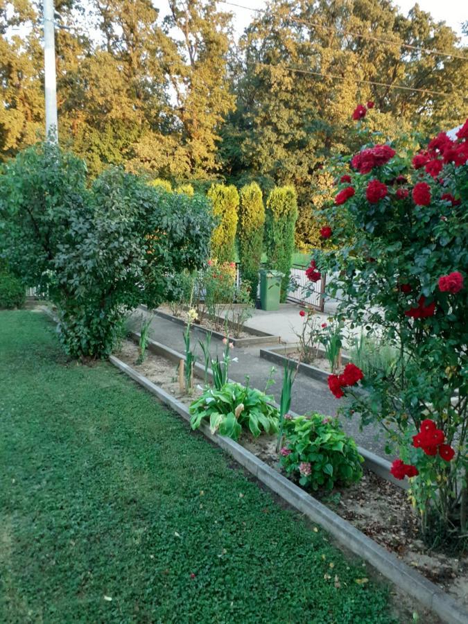 Maja Daire Velika Gorica Dış mekan fotoğraf