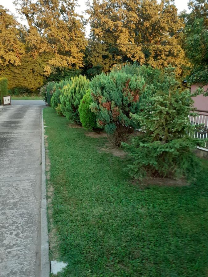 Maja Daire Velika Gorica Dış mekan fotoğraf